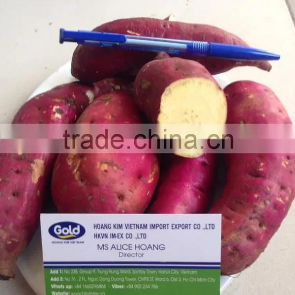 Viet Nam Sweet Potato photo-5