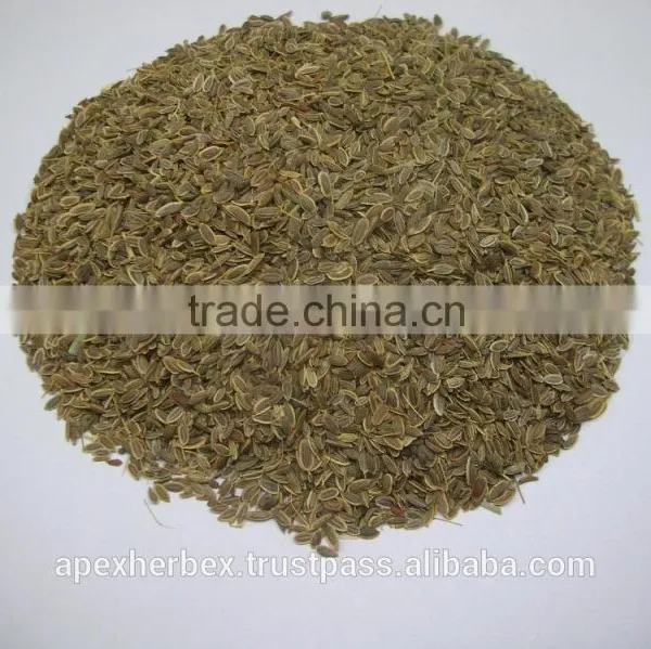 Spice-Dill Seeds /Anthem Graveolens / Suwa photo-4