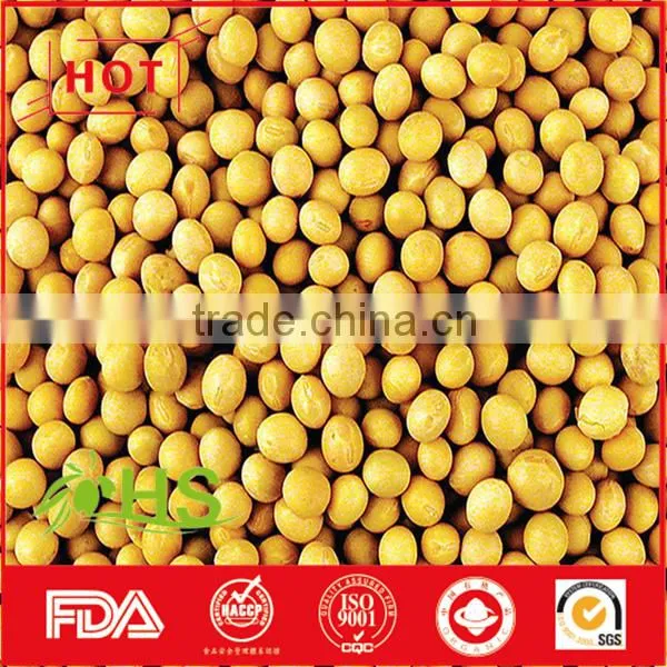 Chinese Dried Cheap Soybeans for Wholesale photo-2