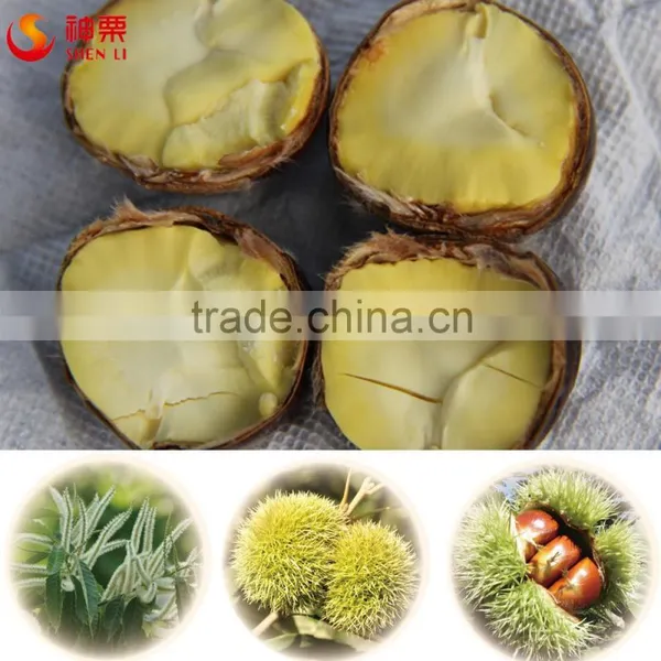 Chinese Chestnuts For Sale---Hebei Chestnuts---Best Fresh Chestnuts in China photo-4
