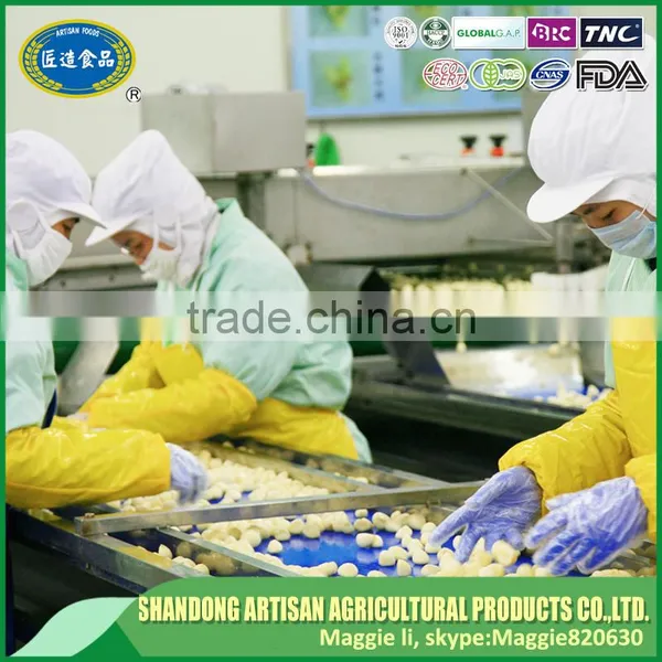 World Popular Garlic Paste Supplier and China Garlic Sauce photo-4