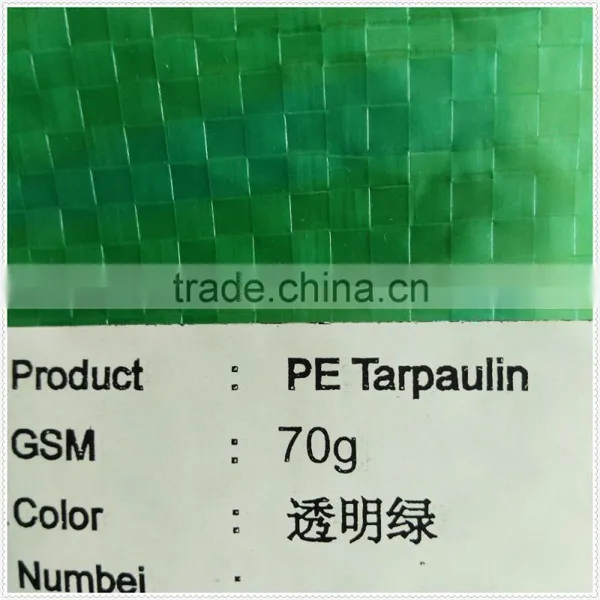 60-300gsm Hdpe Roof Tarp , pe Plastic Tarp for Tent , High Quality Tarp Camping