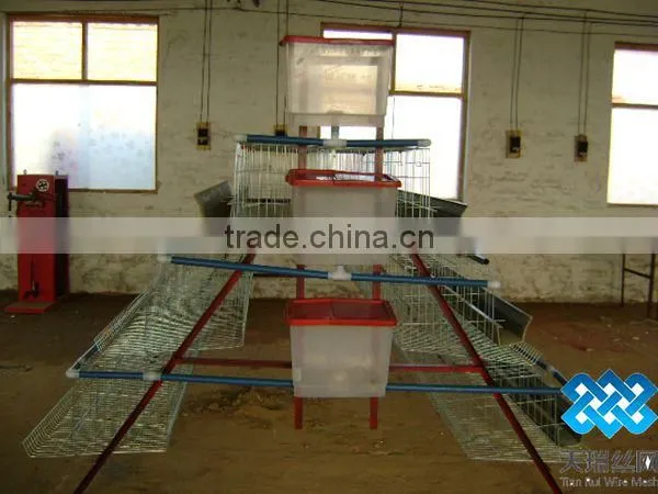 Chicken Cages/layer Chicken Cage photo-2