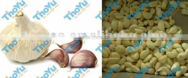 2016 Best Quality Garlic Peeler Machine/stainless Steel Garlic Peeling Machine Made by 304stainless Steel photo-5