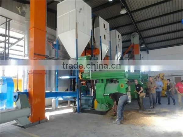 Full Automatic Wood Pellet Mill/wood Pellet Machine Wigh High Quality photo-3