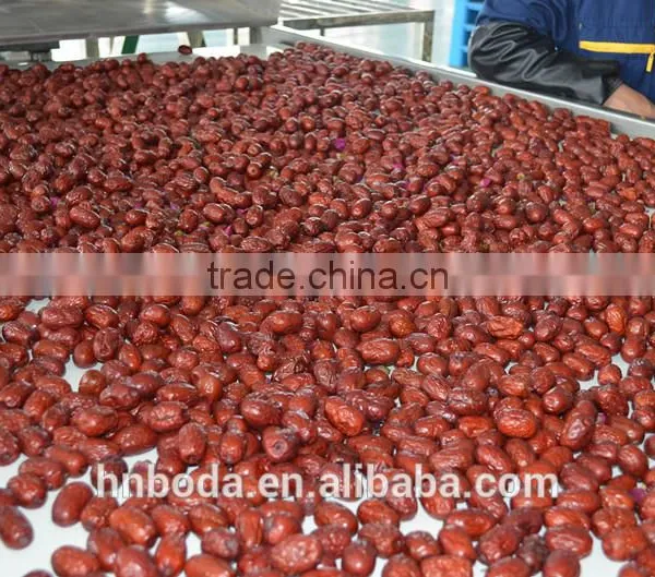 Mesh Machine Type and New Condition Mesh Belt Dryer photo-3