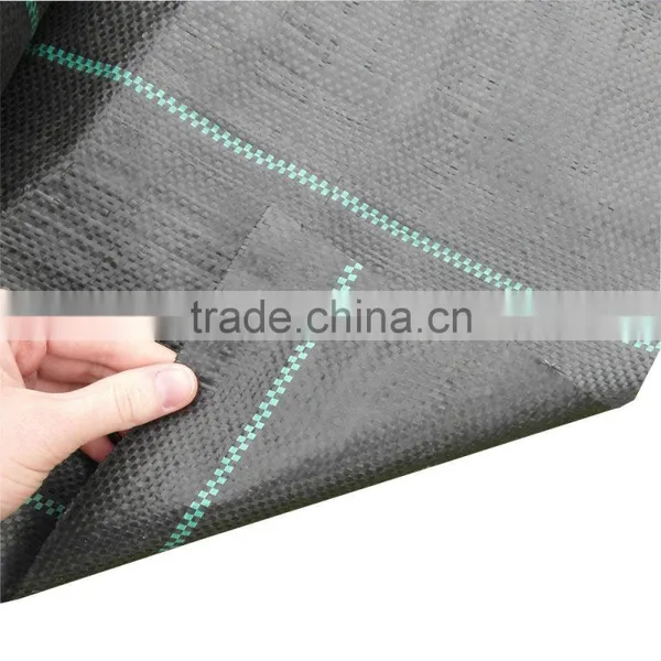 High Quality pp Woven Fabric Roll Weed Mat photo-4