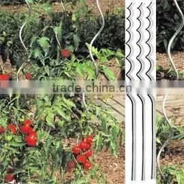 Iron Tomato Spiral for Plant Support photo-5