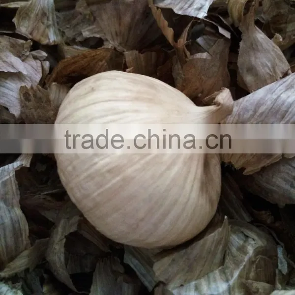 Top Quality Food Grade Black Garlic photo-2