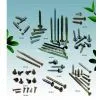 Self Tapping Screw