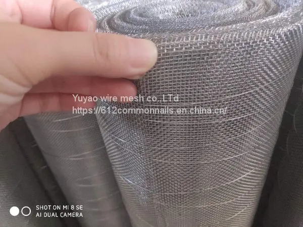 Square Wire Mesh 30M photo-4