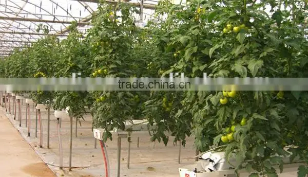 PVC Soilless Growing Troughing System photo-4