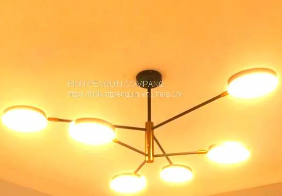 Circle Light