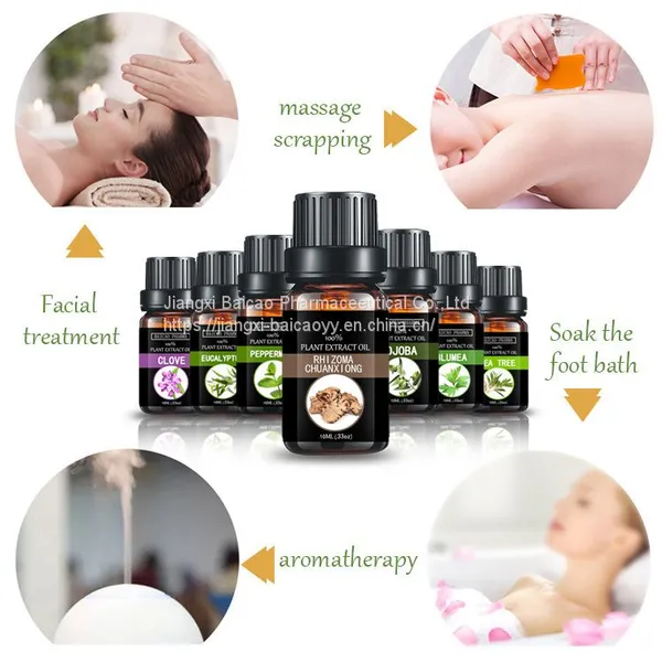 Chinese Supplier Pharmaceutical Grade 100% Pure Natural Chuanxiong Oil photo-5