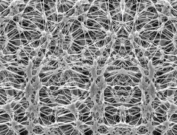 Expanded PTFE Membrane