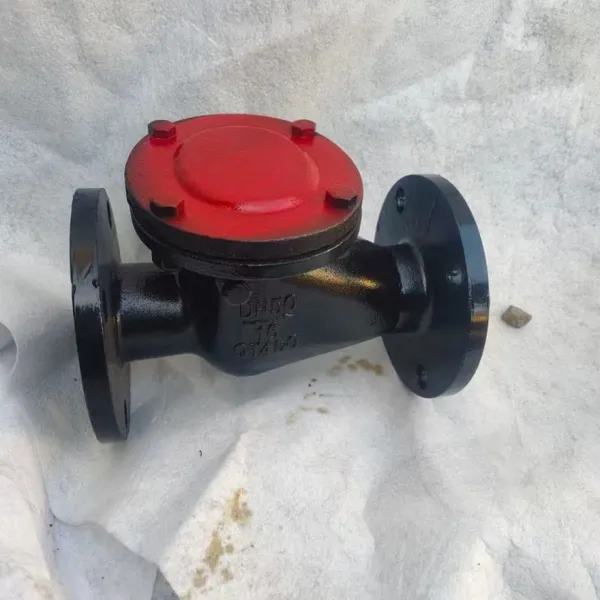 H44T-16 GB DIN DN100 DN150 PN16 Cast Iron GG25 Flange Check Valve Ductile Iron GGG50 Flange Swing Check Valve photo-6