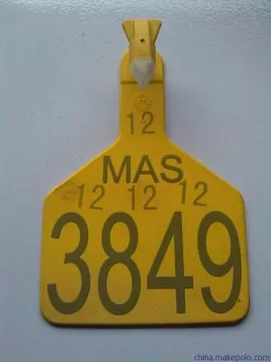 Non-Metal Sign