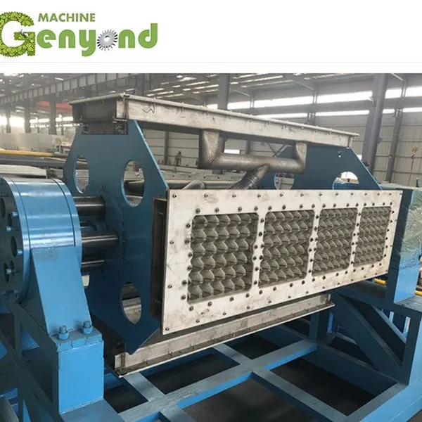 Full Automatic Paper Egg Tray Machine photo-3