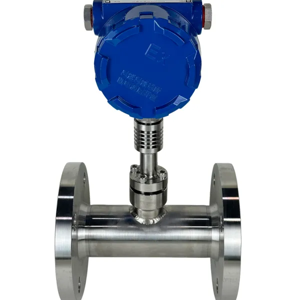 DC 24V Powered Thermal Gas Mass Flowmeter OEM With TFT Display and Modbus RTU Communication for Remote Monitoring