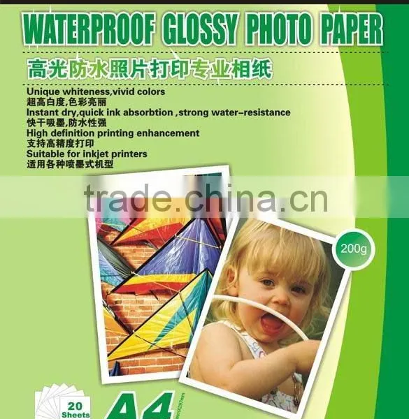 Art Paper Leaflet