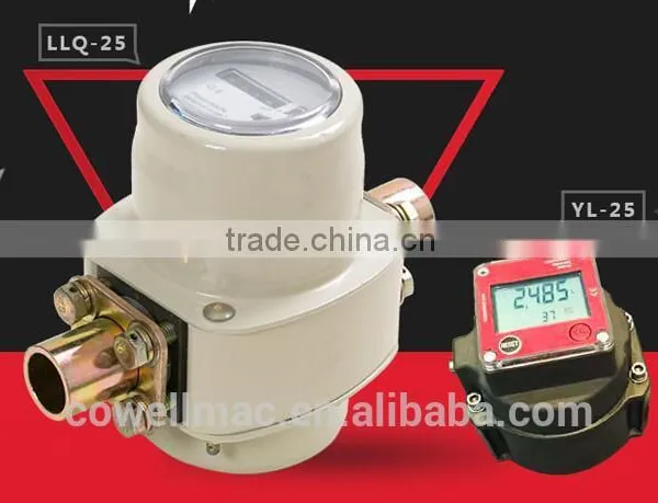 Roots Type Flow Meter( Gas Flow Meter) photo-5