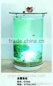 colorful aquarium fish tank