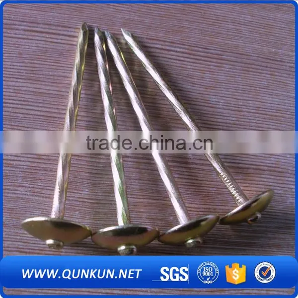 Concrete Nails Making Machine, Galvanized Grooved ss Nails Quality Choice photo-3