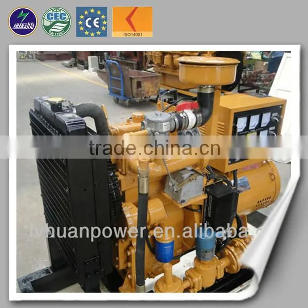 High Efficient Small Biogas Plant/biogas Generator Price/ Mini Biogas Plant