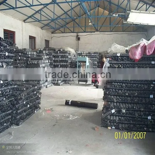 Pvc Coated Chicken Wire Poultry Wire Chicken Wire Mesh photo-2