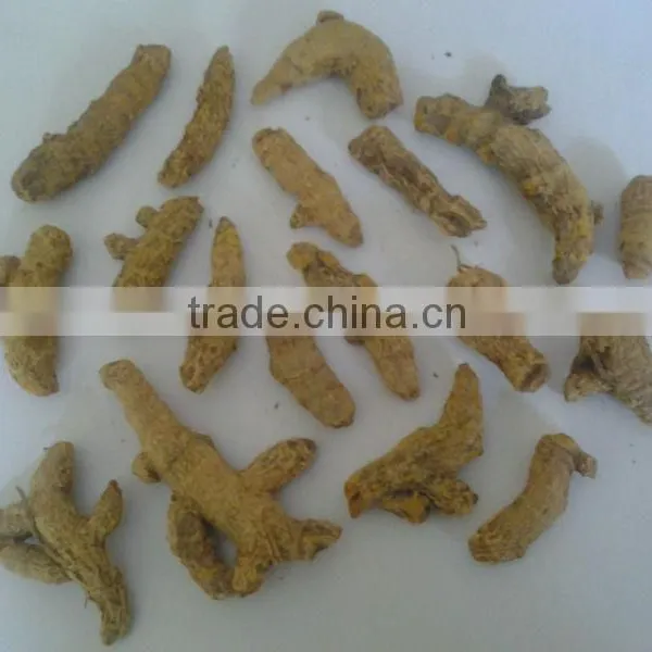 Turmeric Finger Unpolished