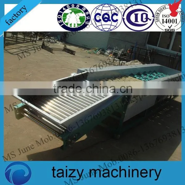 stainless steel machine cashew nut and kernel grading machine by size