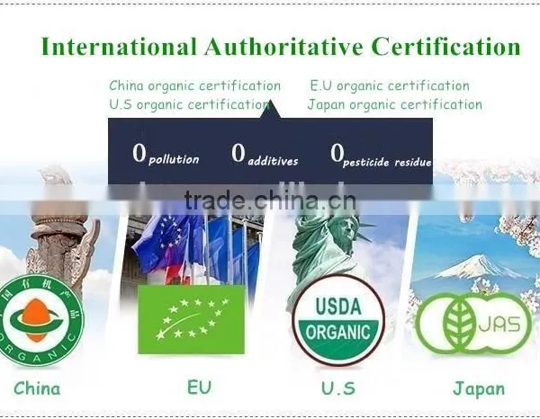 NOP Certificated Vietnam Original Black Tea Low Price Health Benefits photo-3