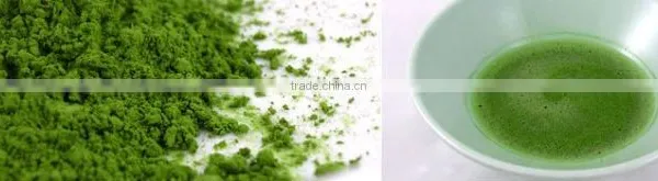 Organic Matcha- Japanese Green Tea