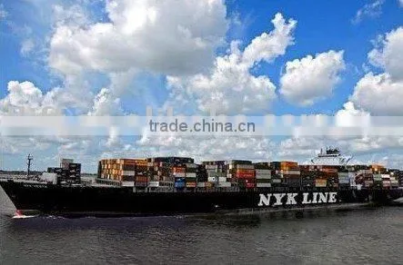 Shipping Container Shenzhen China to Cotonou Container Freight Shipping