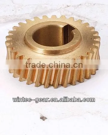 Customized Small Worm Gear