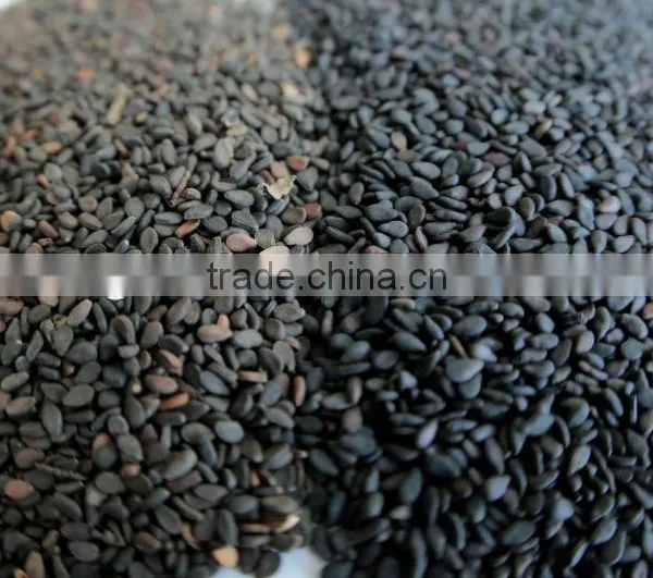 Hulled Sesame Seeds, White Sesame Seeds, White Hulled Sesame Seeds , Washed Whitish Sesame Seeds photo-2