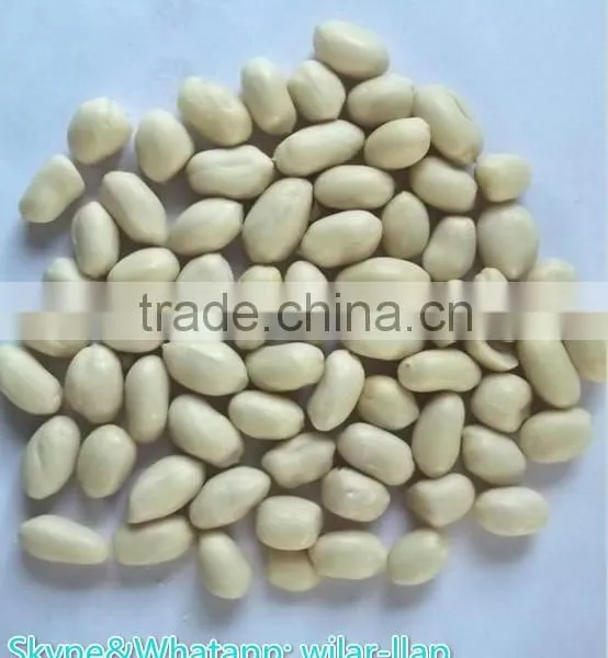 Blanched Peanuts Kernels Round Shape, Blanched Baisha Kernels. 36/41,41/51,51/61,61/71