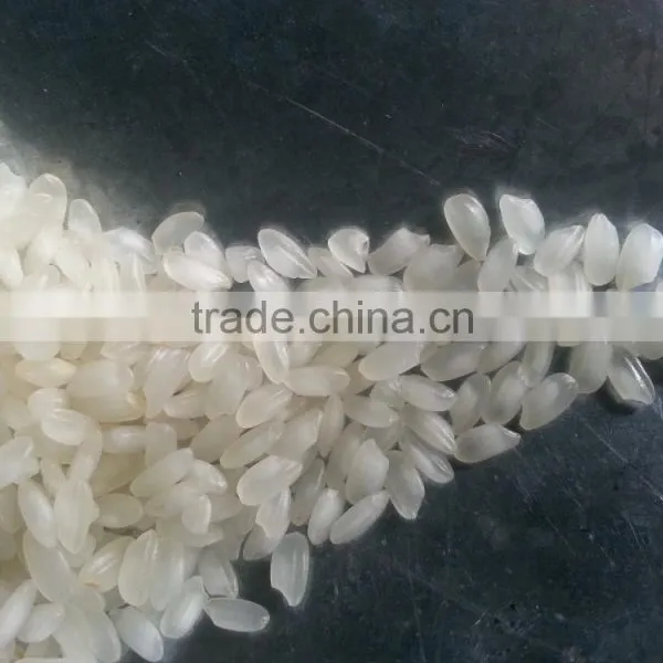 Short Grain Round Rice photo-2