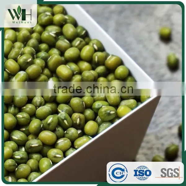 AMA Certified Green Mung Bean photo-2
