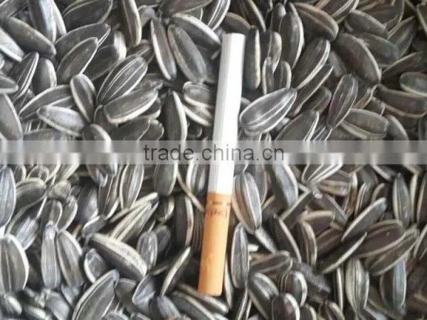Supply All Kinds Of Sunflower Seeds photo-5