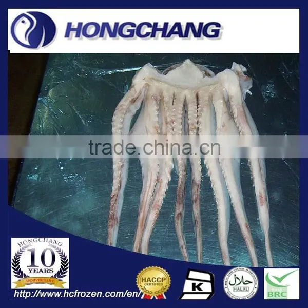 Frozen Giant Squid Tentacle