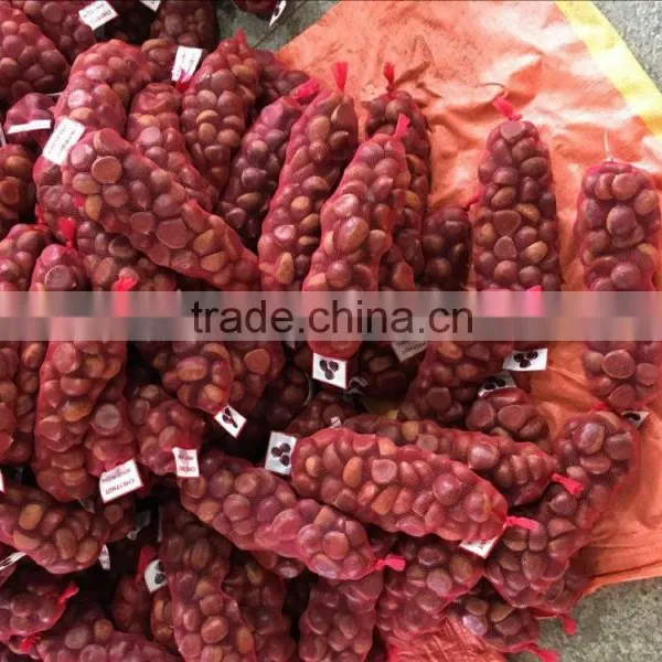 Fresh Chestnut China Origin 40-60pcs photo-2