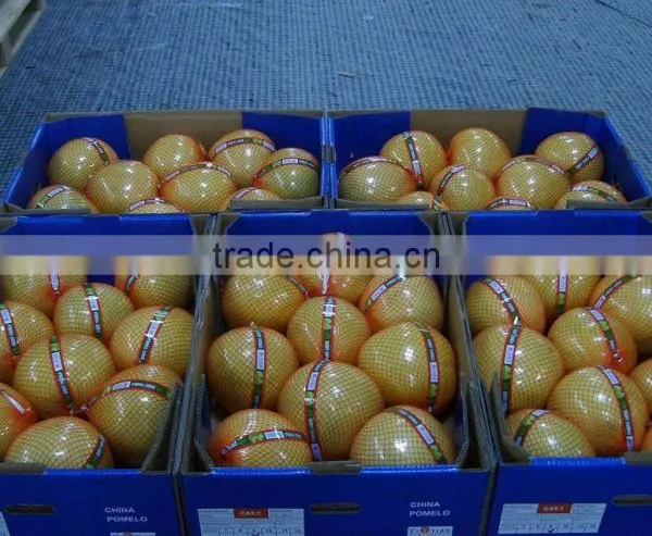 2015 Fresh Pomelo Honey Pomelo Sweet Pomelo for Export photo-4