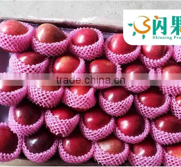 HUANIU APPLES IN CHINA