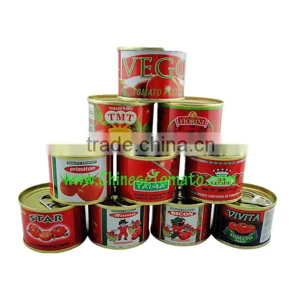 Wholesale Tomato Paste in Malaysia photo-2
