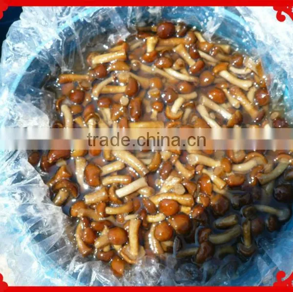Nameko in Brine From New Crop/salted Nameko