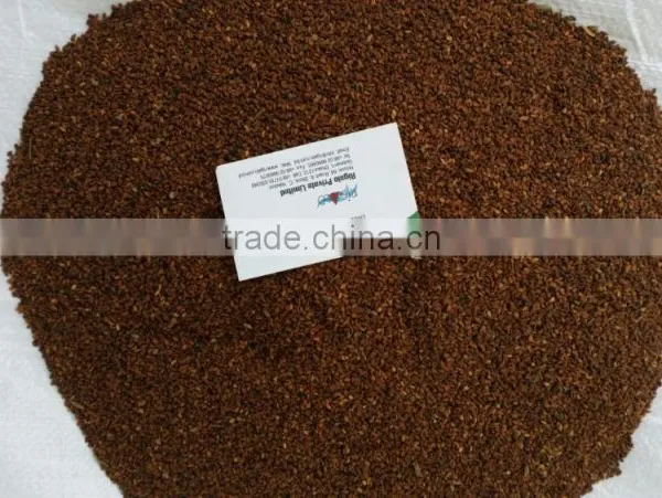 Best Quality Brown Sesame Seeds From Bangladesh photo-2