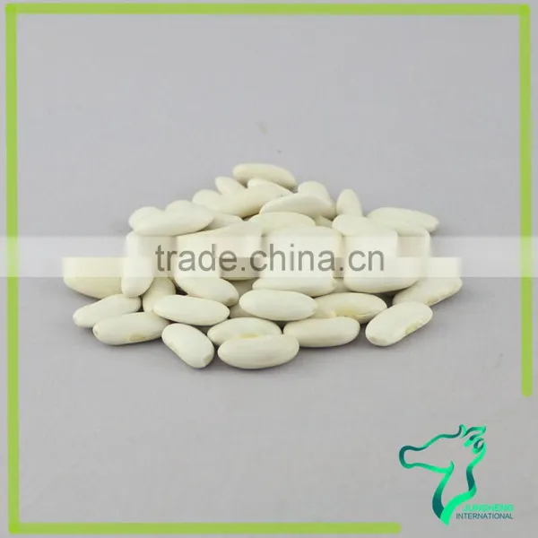 Export Good Quality Long White Kidney Beans Chinese Origin photo-5