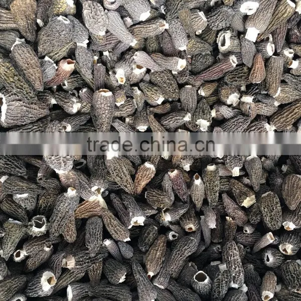 Chinese Dried Morels Mushroom photo-2