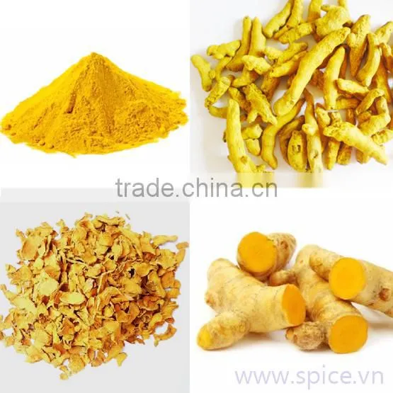 VIETNAM FRESH TURMERIC GOOD QUALITY photo-5